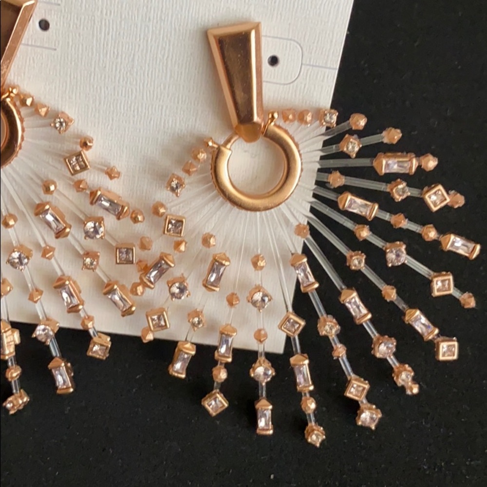 Kendra Scott Fabia earrings - Picture 3 of 3